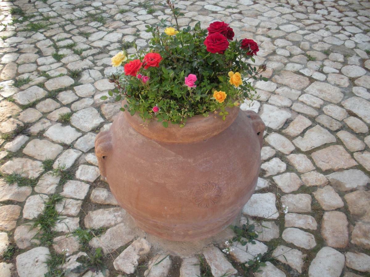 La Meridiana Holiday home